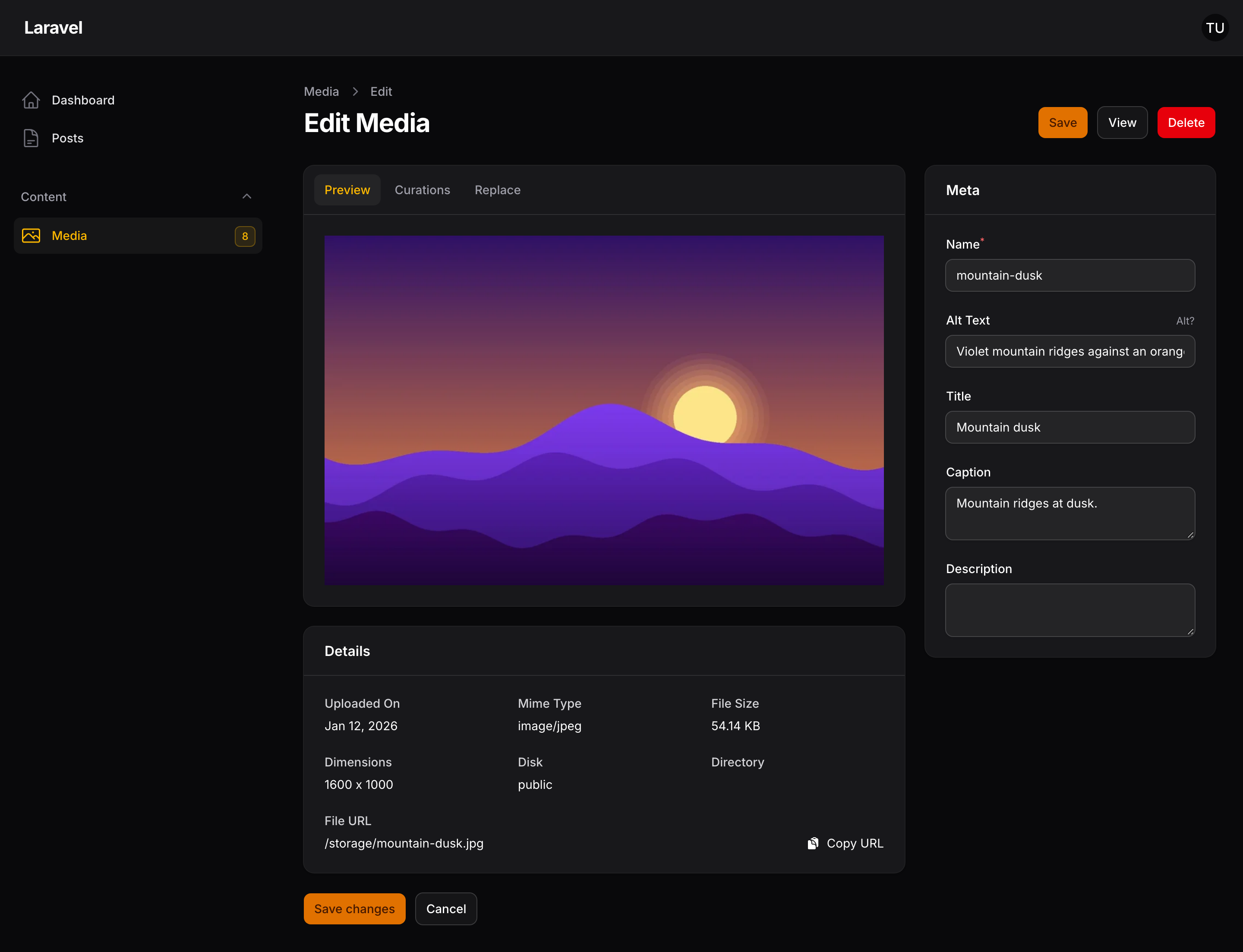 The Curator edit media page, with a large image preview, Preview, Curations and Replace tabs, file details such as dimensions, disk and URL, and fields for name, alt text, title, caption and description